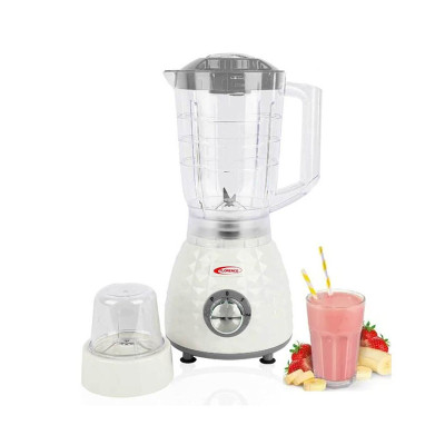 Blender FLORENCE 1000W Avec Moulin