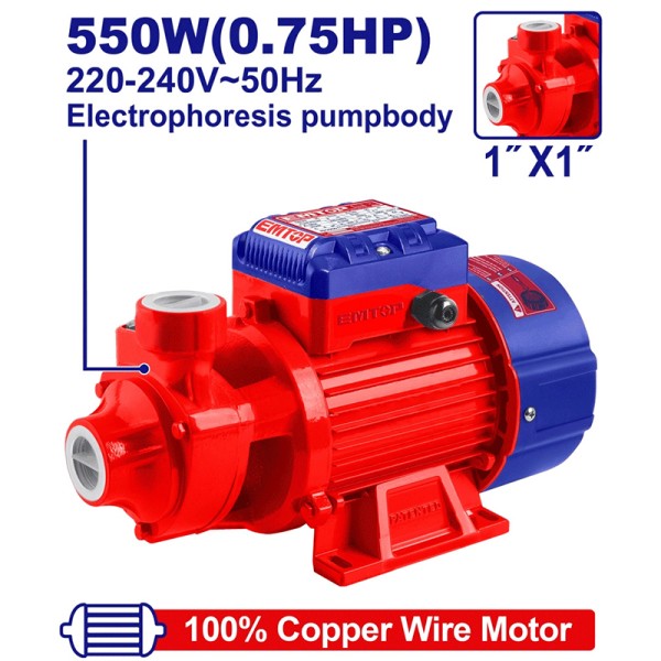 Électropompe 0,75CV 1"H45M 45L/MN EMTOP EWPPV05501
