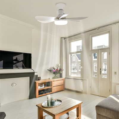 Ventilateur Avec Télécommande