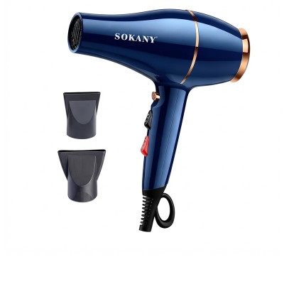 Sèche-Cheveux Professionnel