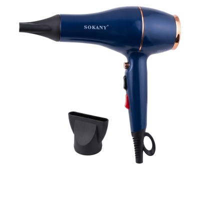 Sèche-Cheveux Professionnel