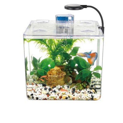 Aquarium NUBIOS De Bureau
