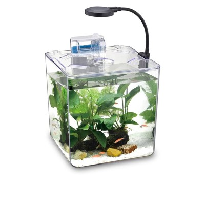 Aquarium NUBIOS De Bureau