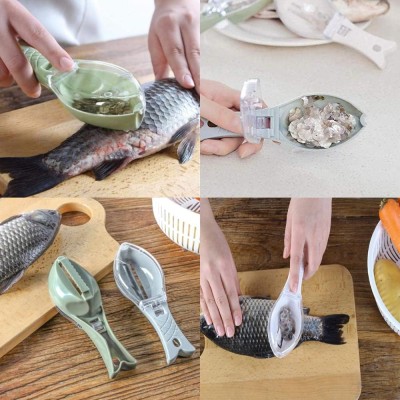 Écailles de poisson Ylinwtech